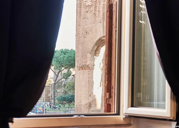 Experience *